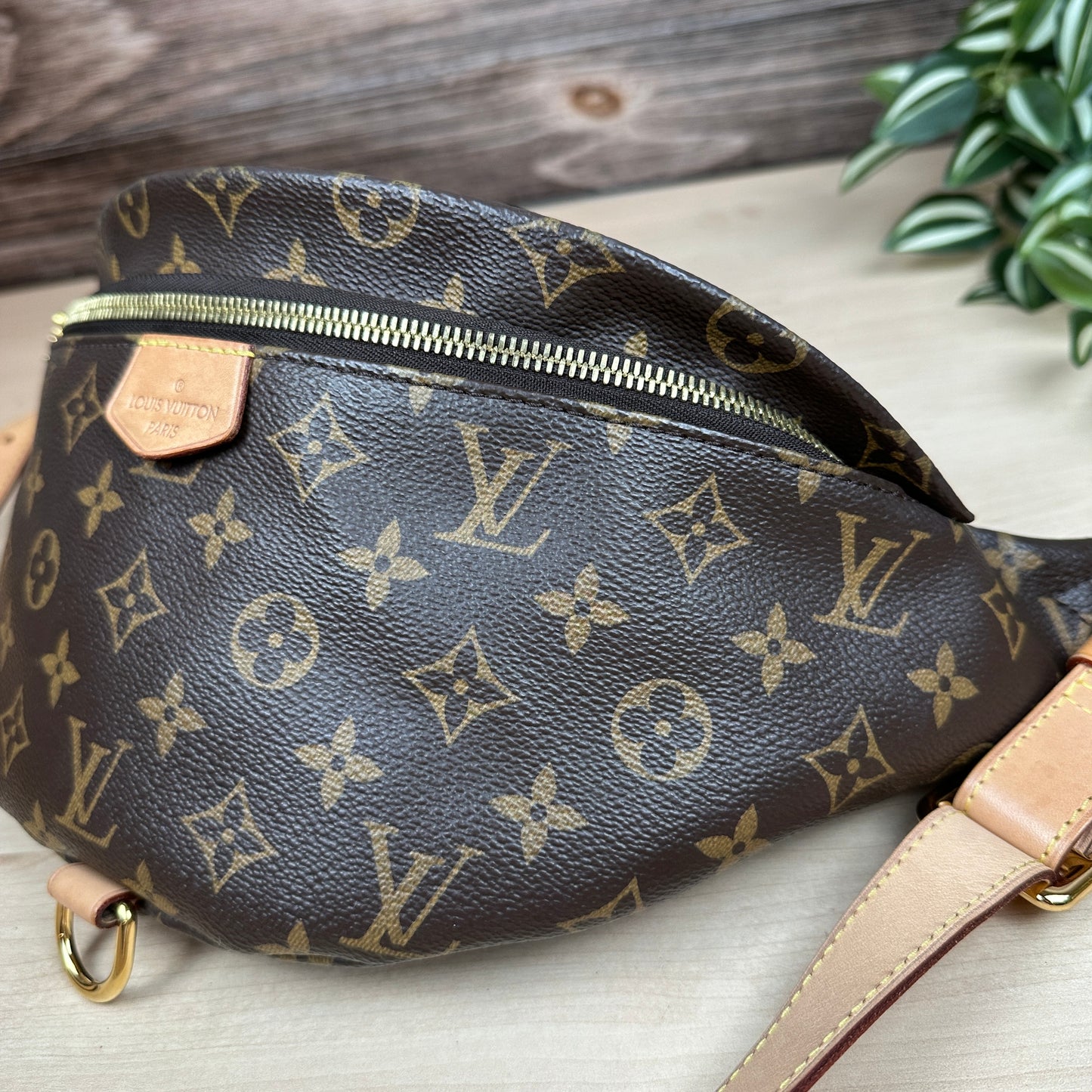 Louis Vuitton Monogram Bum Bag