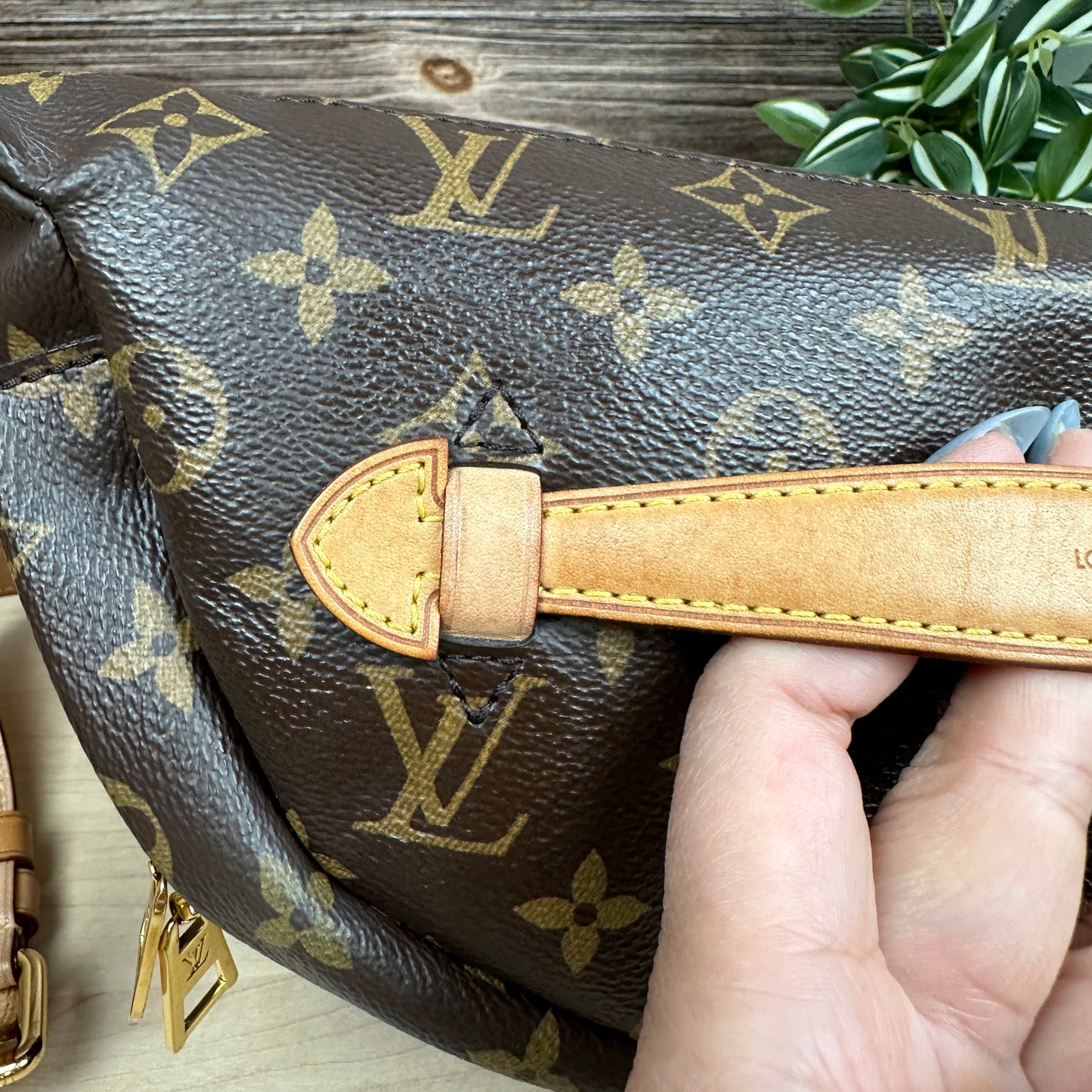 Louis Vuitton Monogram Bum Bag