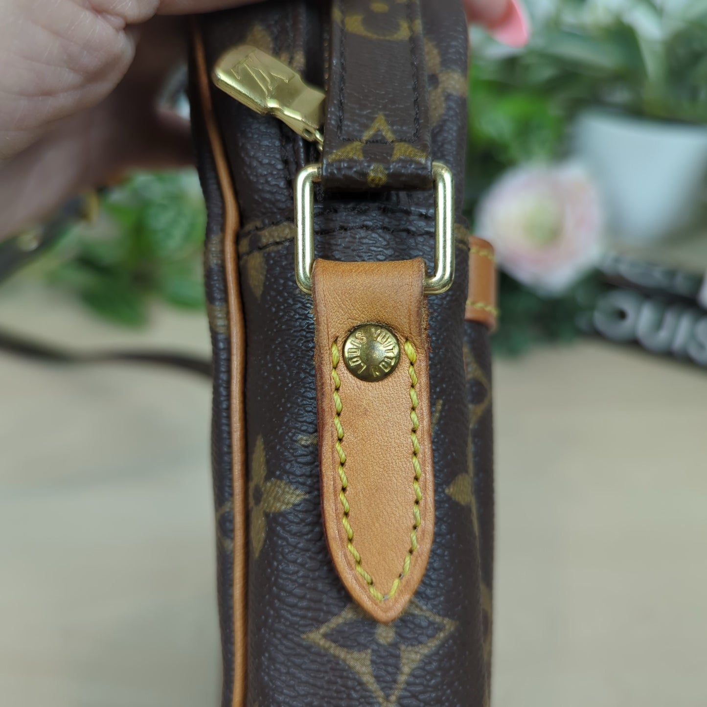 Louis Vuitton Danube PM Monogram Cossbody