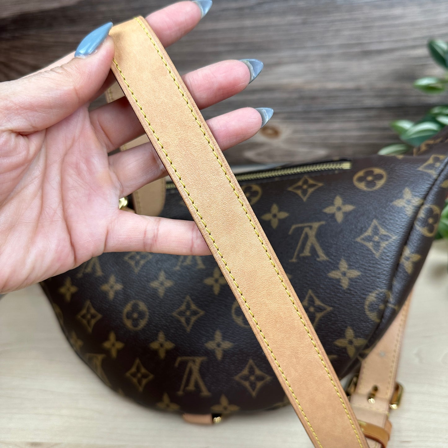 Louis Vuitton Monogram Bum Bag