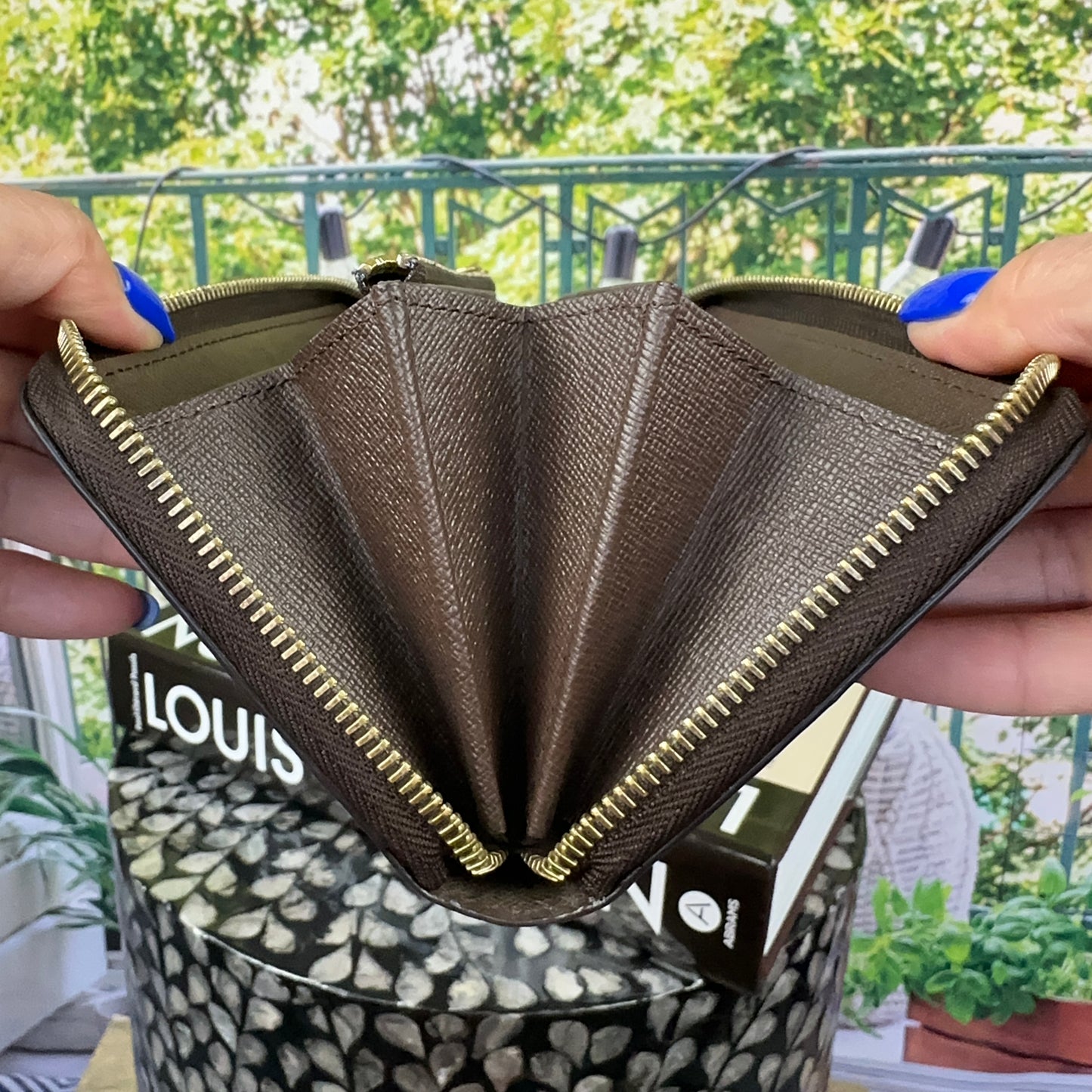 Louis Vuitton Damier Zippy Wallet