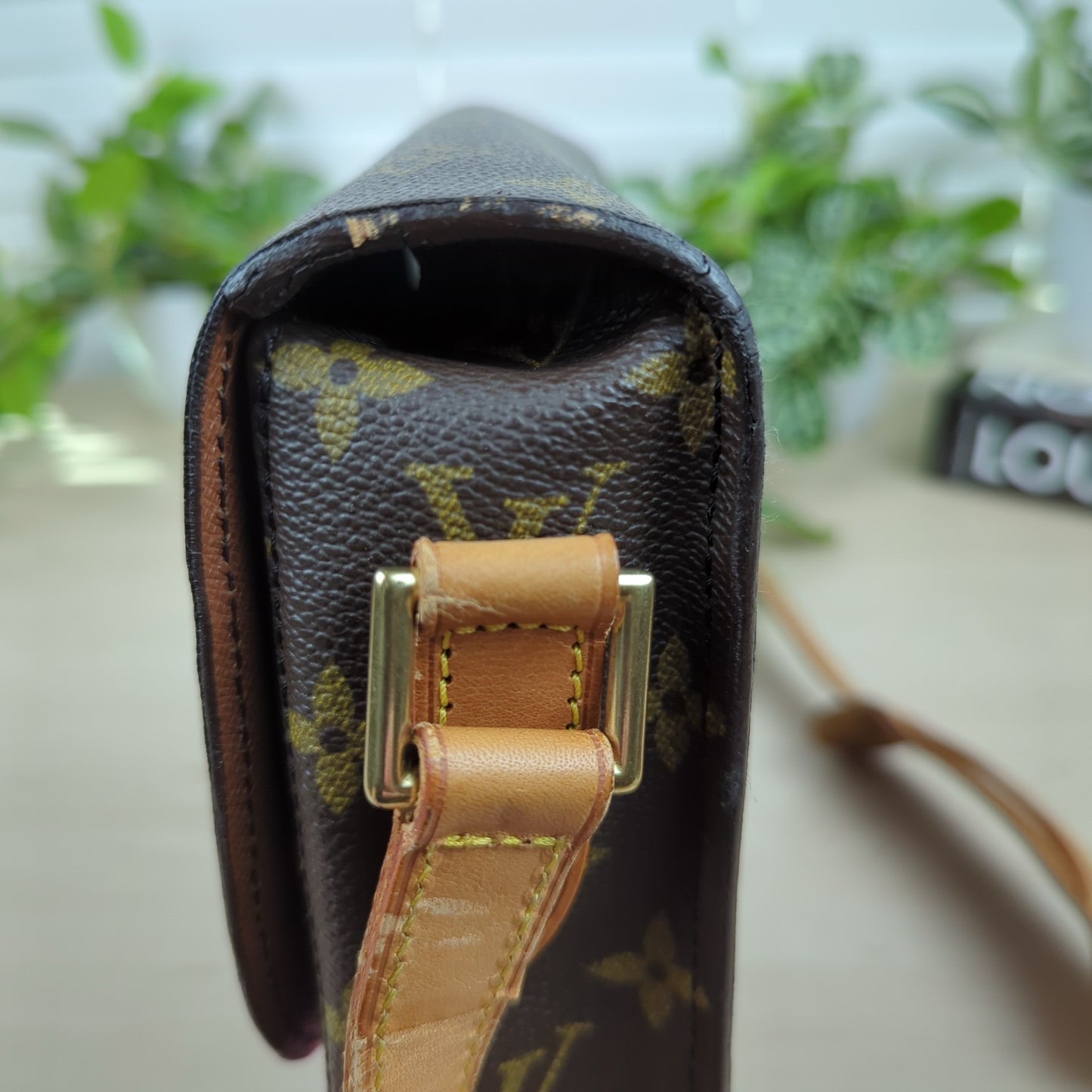 Louis Vuitton Monogram St Cloud GM