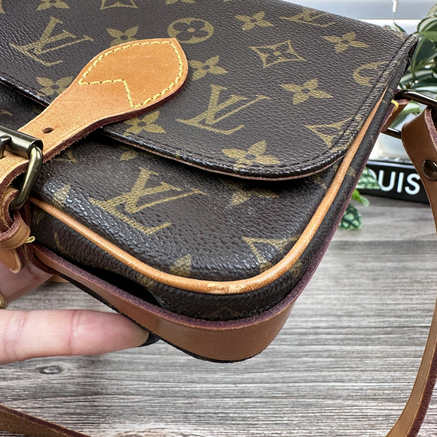 Louis Vuitton Cartouchiere PM Crossbody Bag