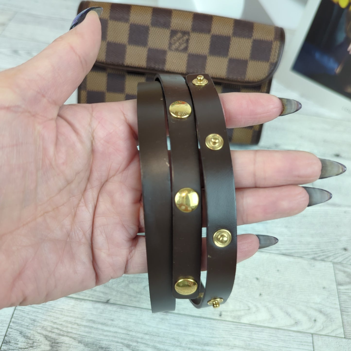 Louis Vuitton Damier Ebene Pochette Florentine