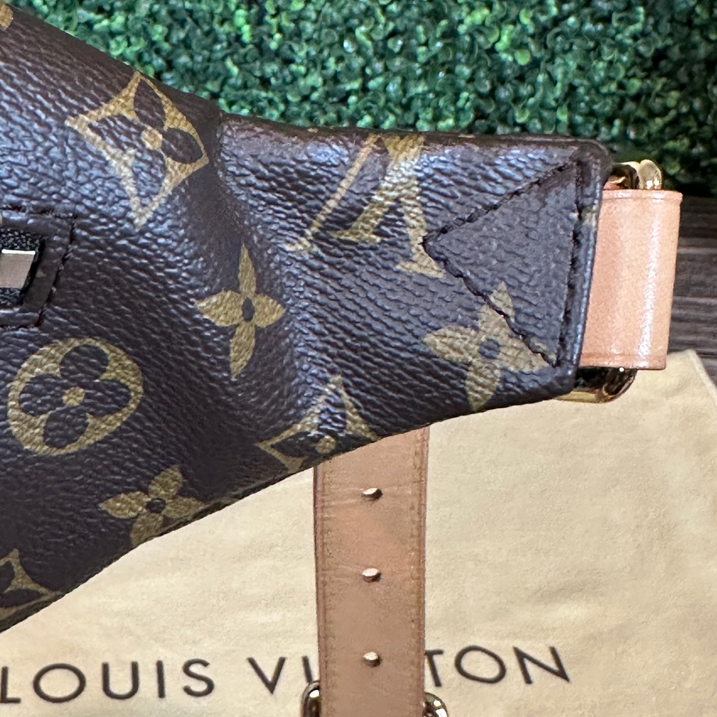 Louis Vuitton Bum Bag