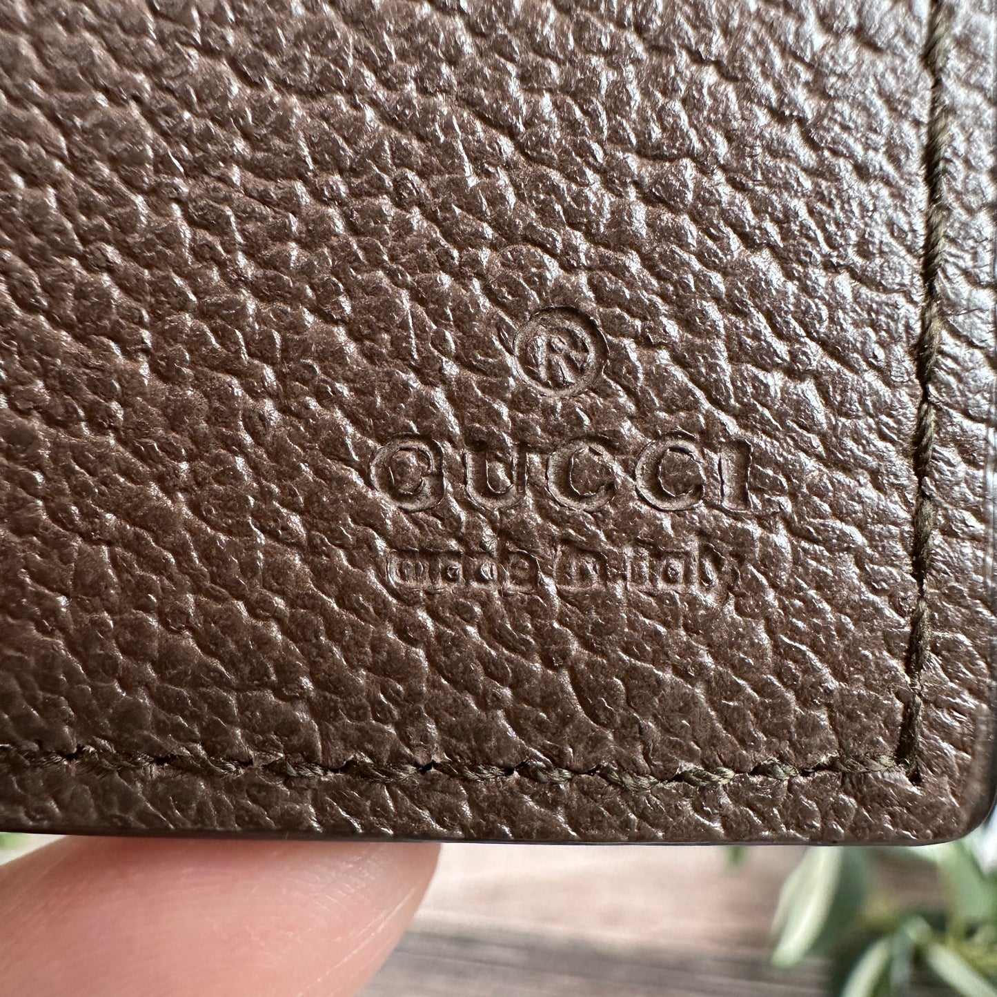 Gucci Ophidia Web Passport Wallet