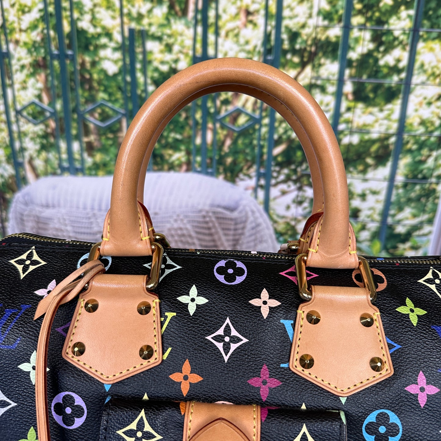 Louis Vuitton Limited Edition Murakami Black Multicolor Speedy 30