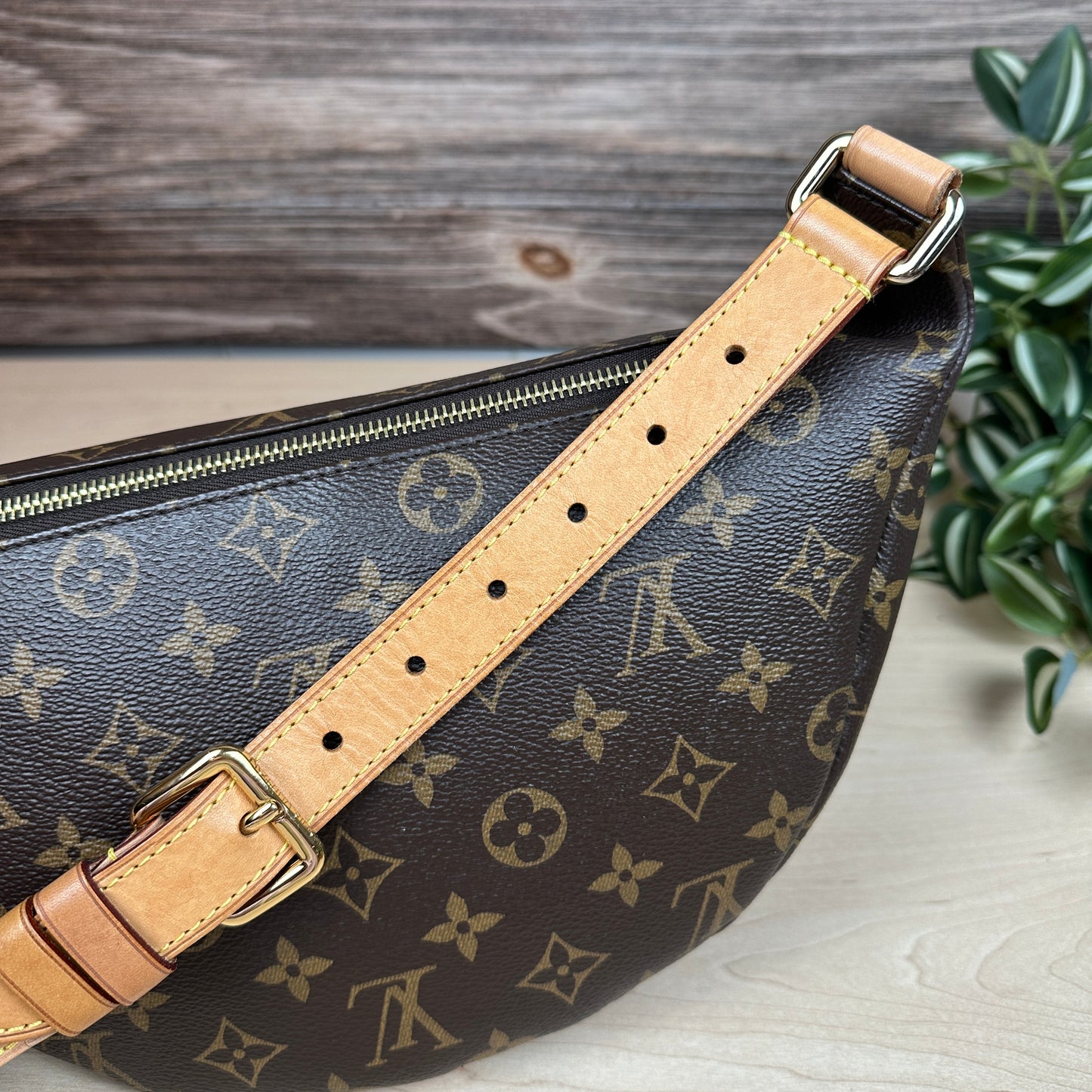 Louis Vuitton Monogram Bum Bag