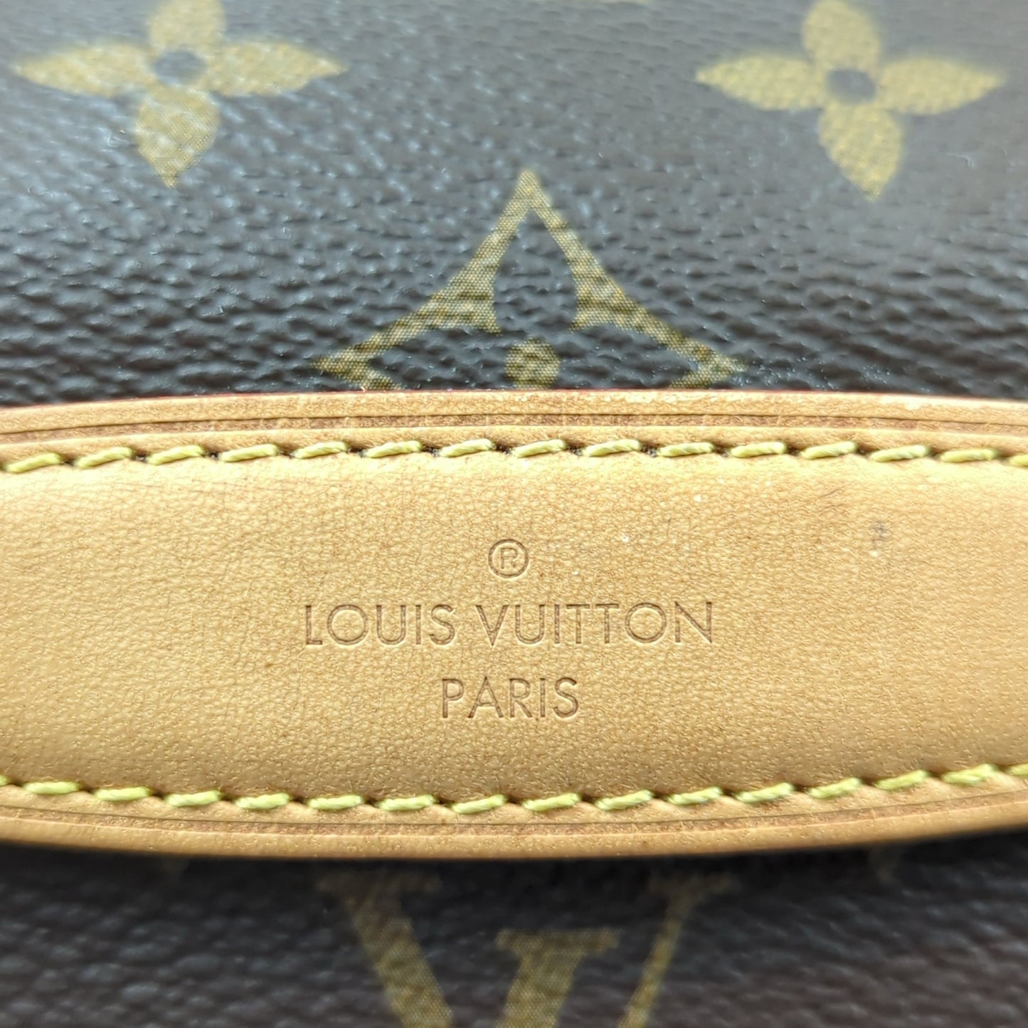 Louis Vuitton Monogram Bum Bag