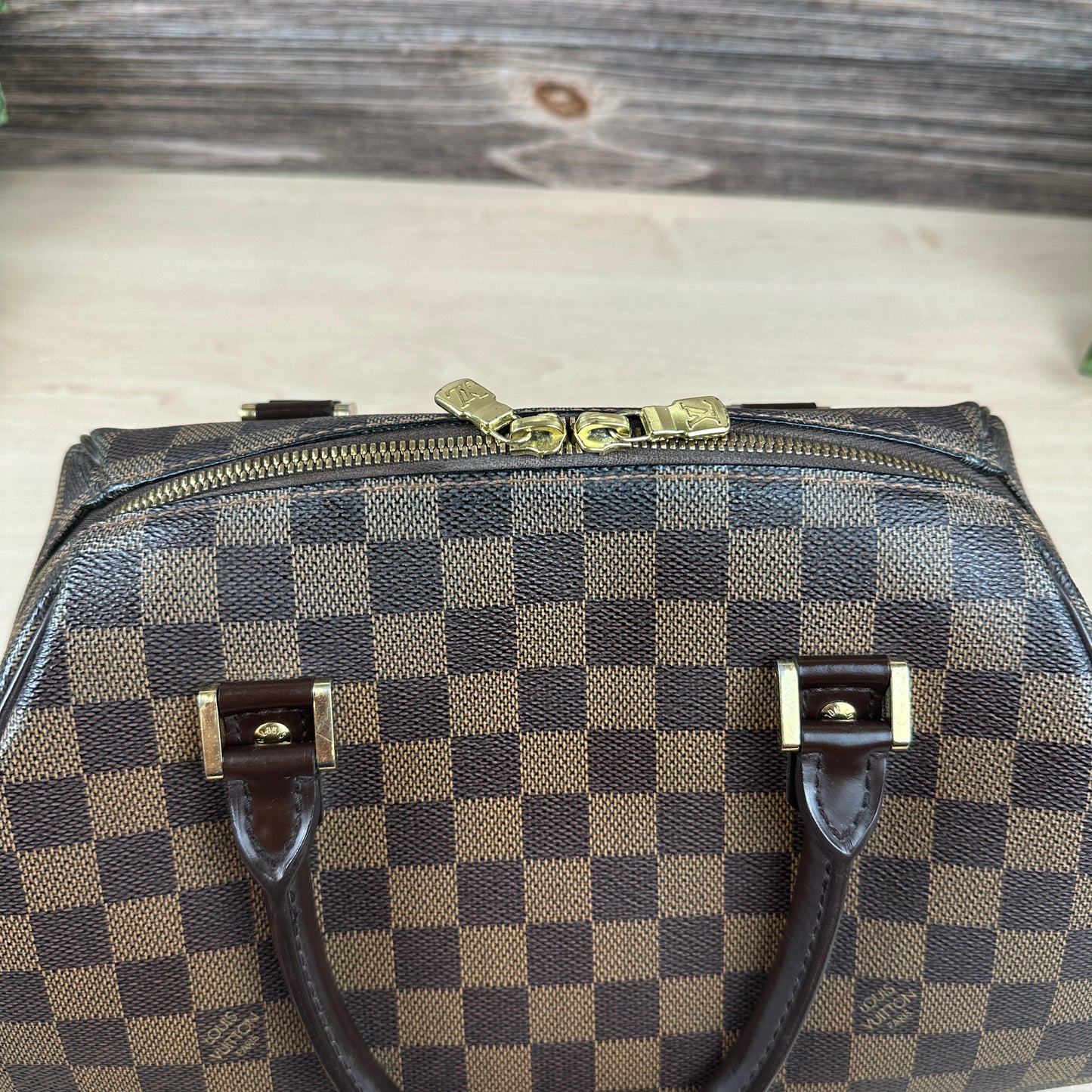 Louis Vuitton Damier Canvas Ribera MM Bag