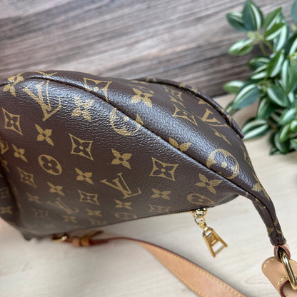 Louis Vuitton Monogram Bum Bag