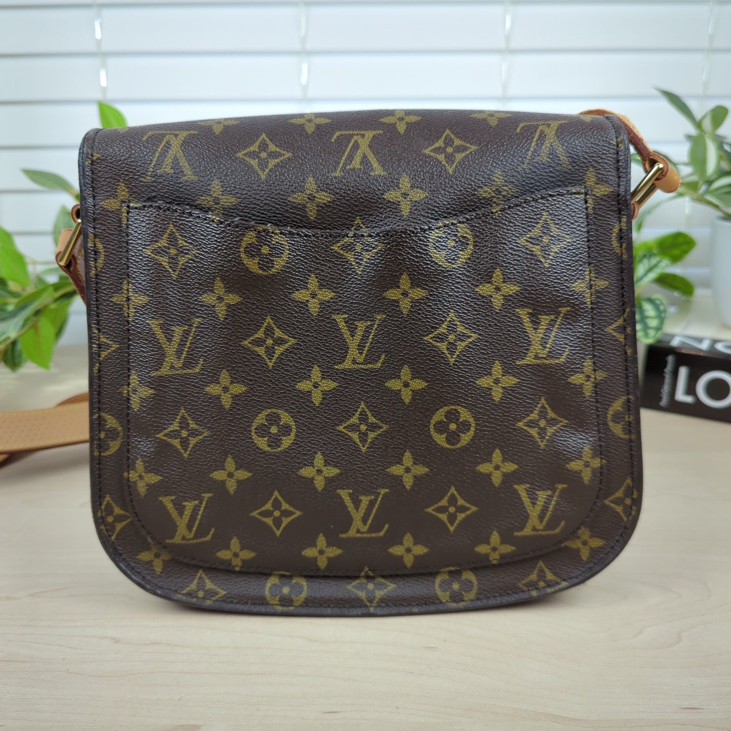 Louis Vuitton Monogram St Cloud GM