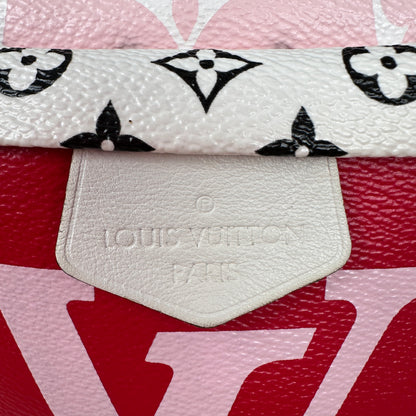 Louis Vuitton Monogram Giant Bumbag Rouge