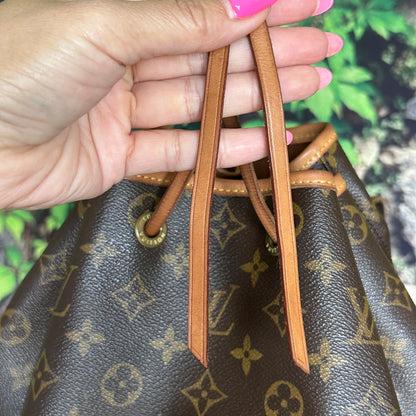 Louis Vuitton Montsouris GM