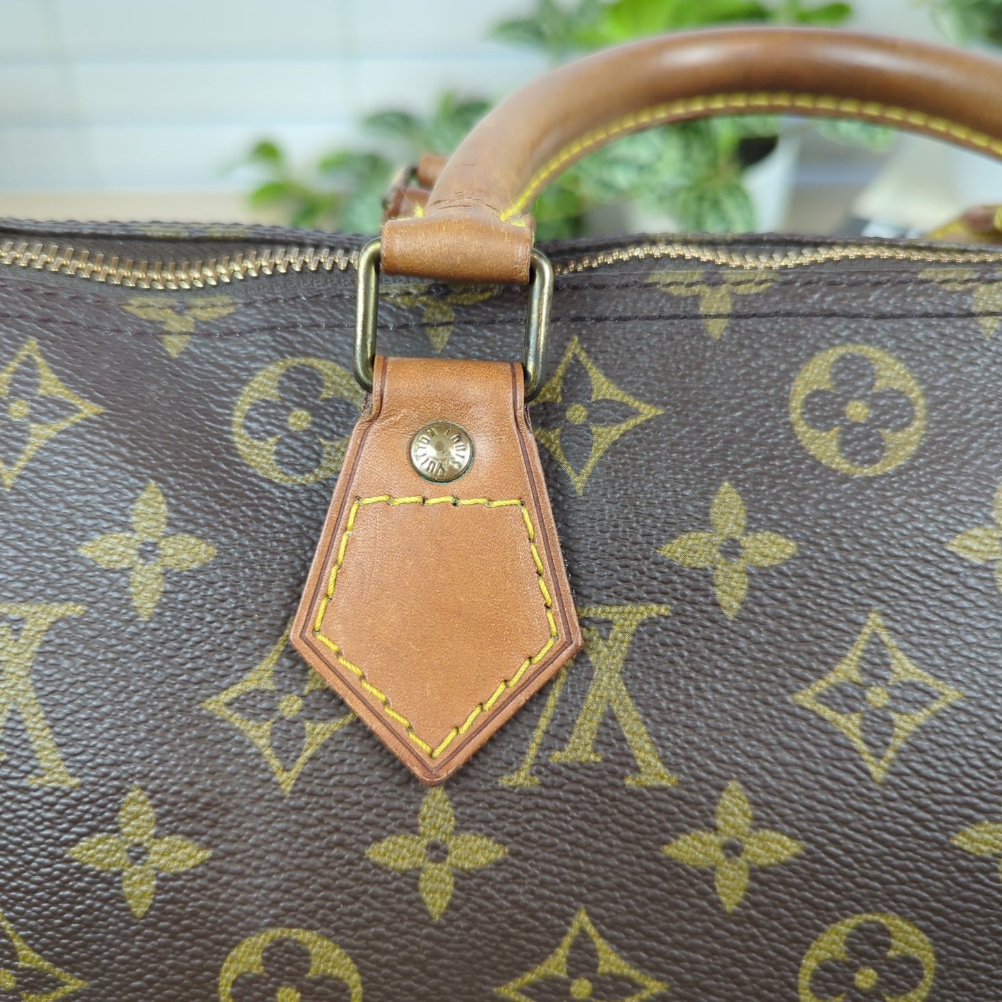 Louis Vuitton Monogram Speedy 30