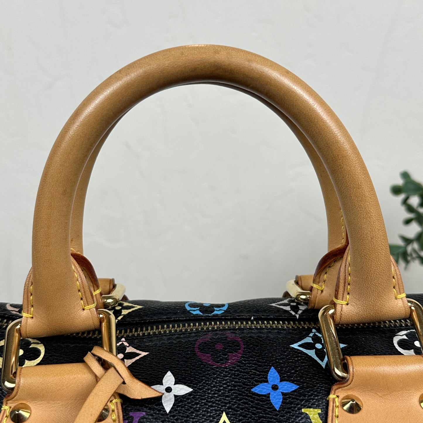 Louis Vuitton Limited Edition Murakami Speedy 30 Black Multicolor