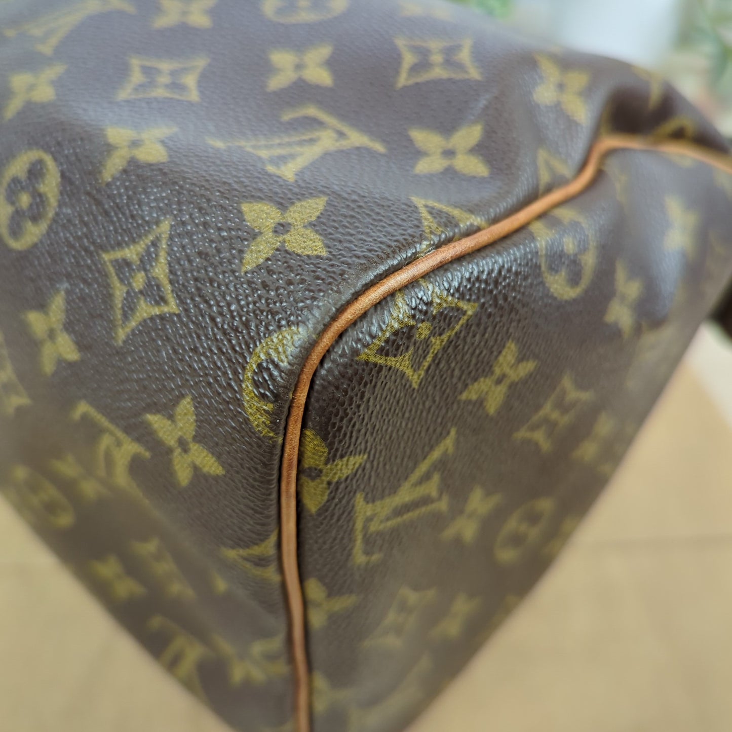 Louis Vuitton Monogram Speedy 30