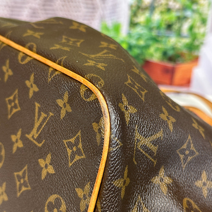 Louis Vuitton Palermo PM 2-Way Bag