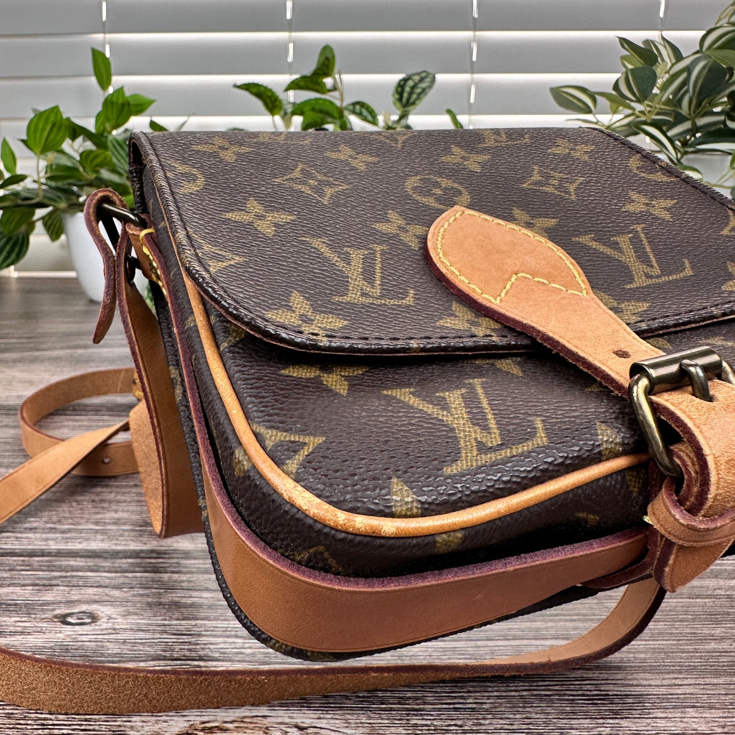 Louis Vuitton Cartouchiere PM Crossbody Bag