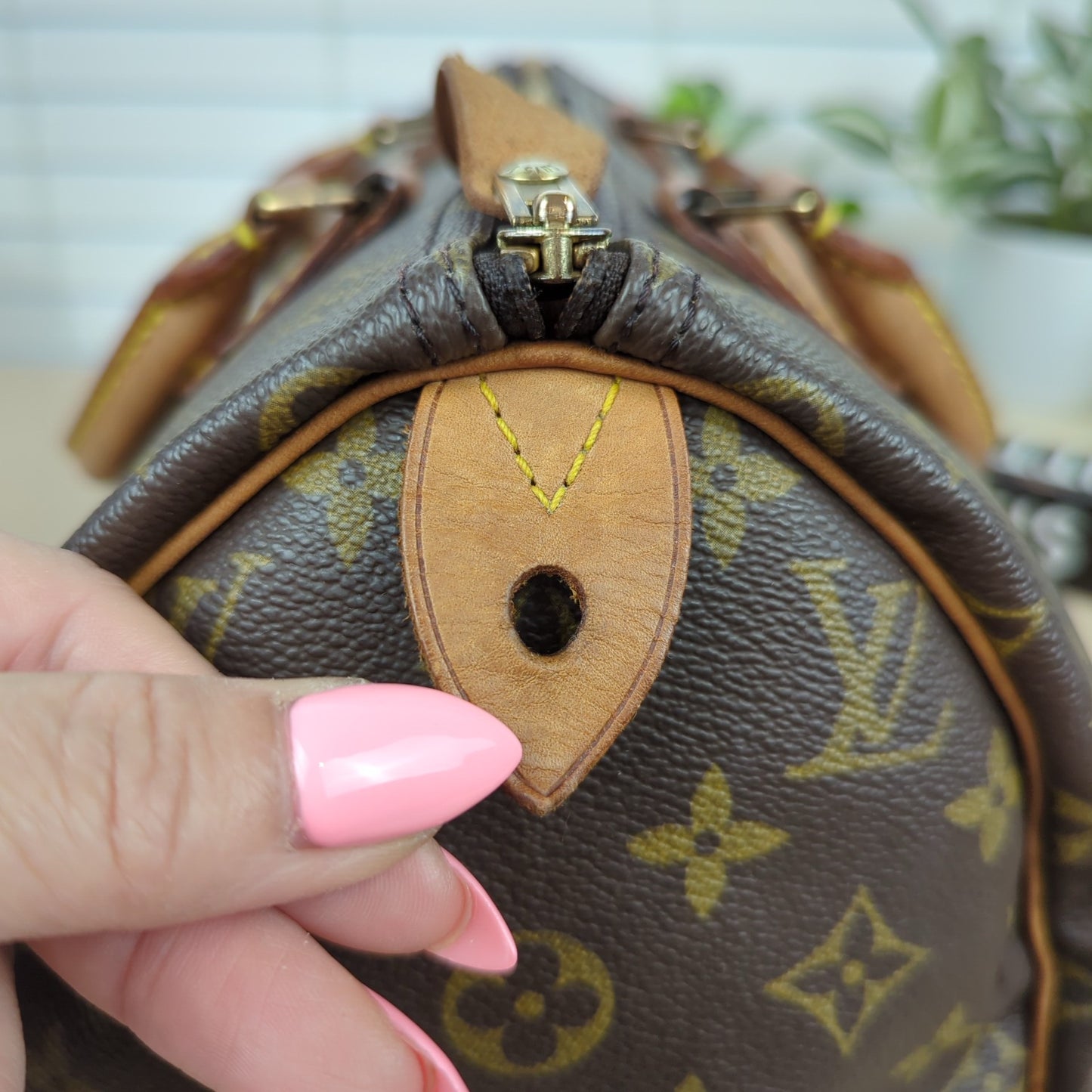 Louis Vuitton Monogram Speedy 30