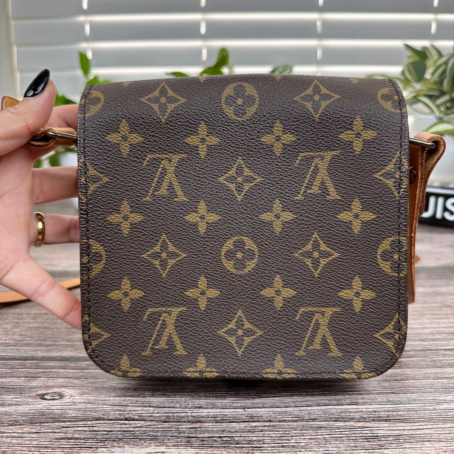 Louis Vuitton Cartouchiere PM Crossbody Bag