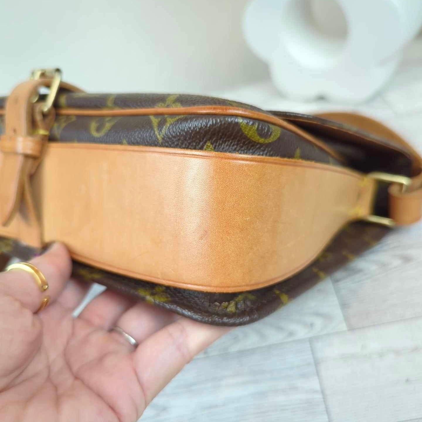 Louis Vuitton Cartouchiere GM Crossbody Bag