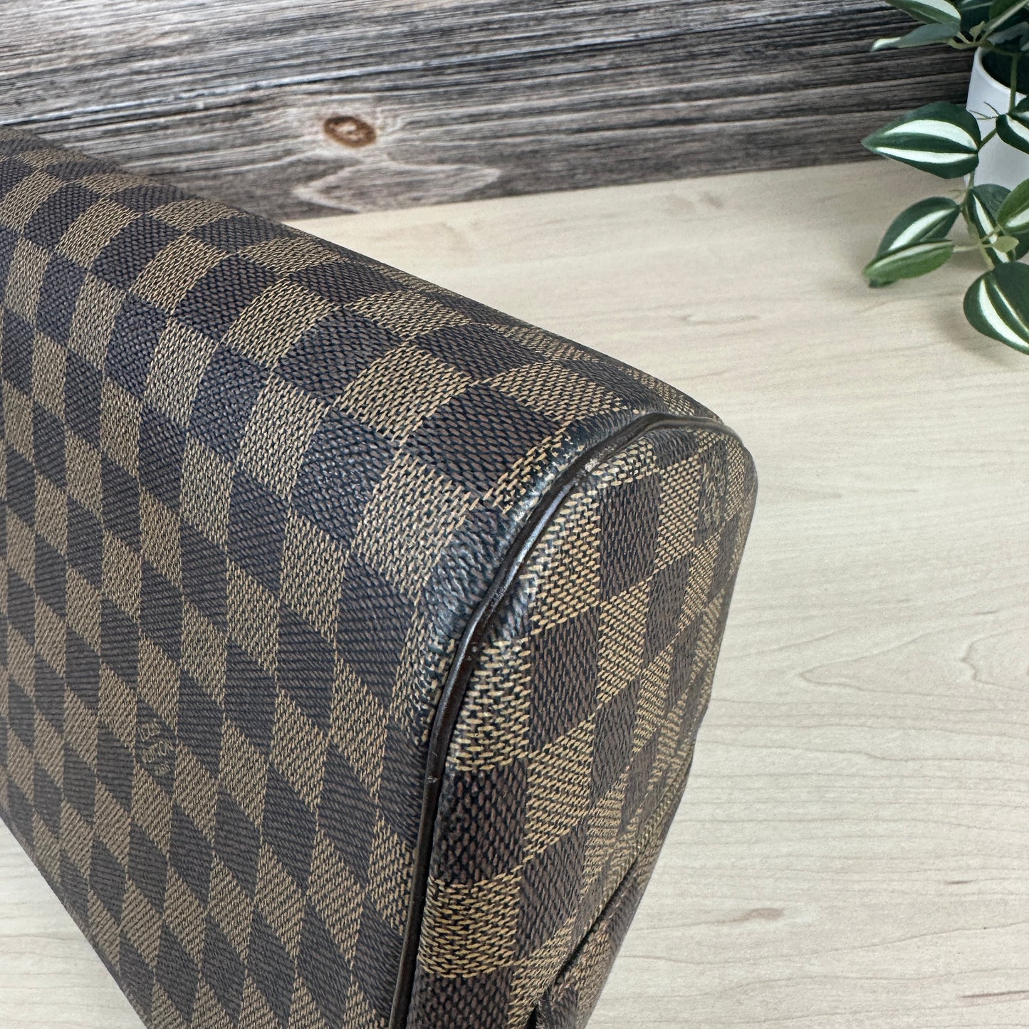 Louis Vuitton Damier Canvas Ribera MM Bag