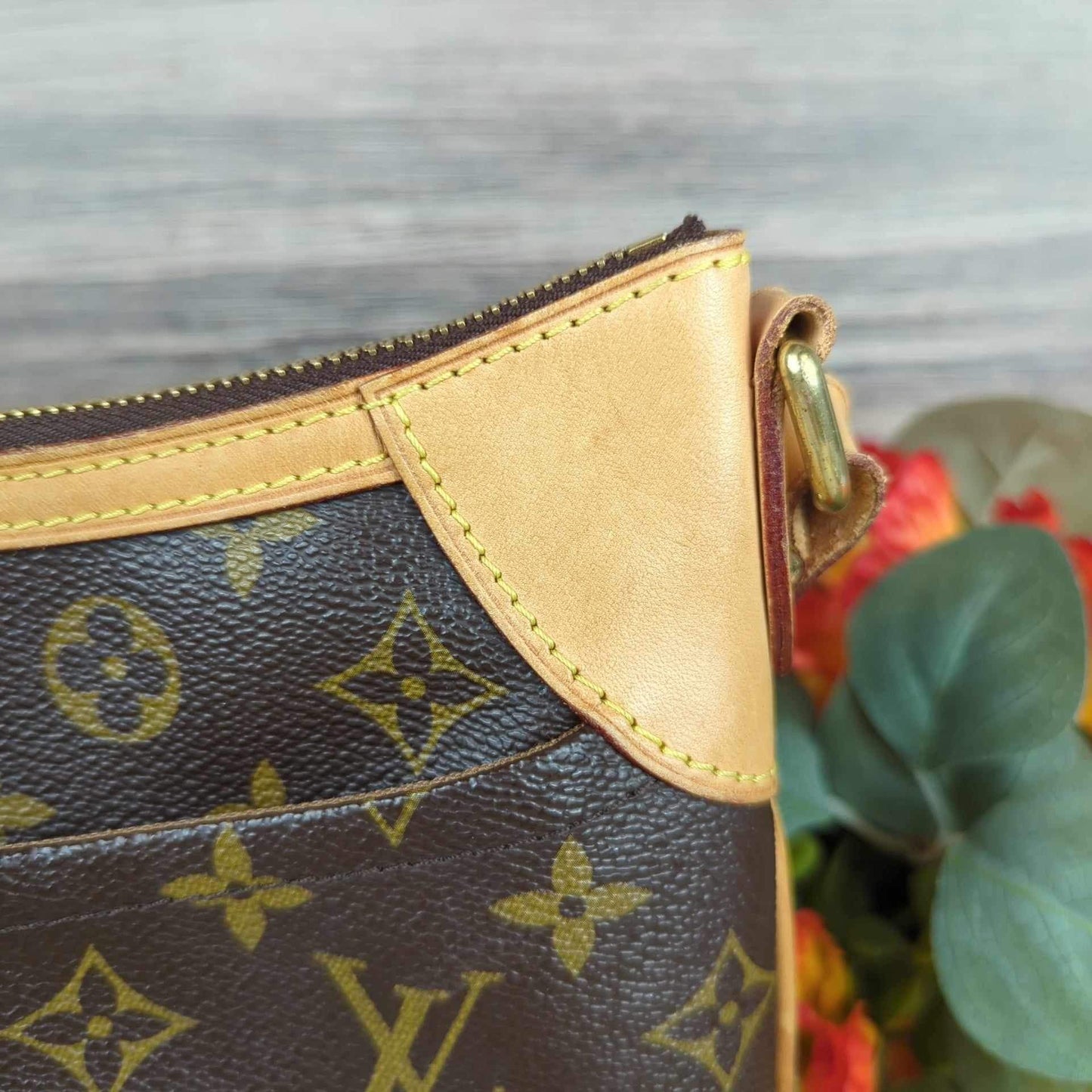 Louis Vuitton Monogram Odeon PM Crossbody