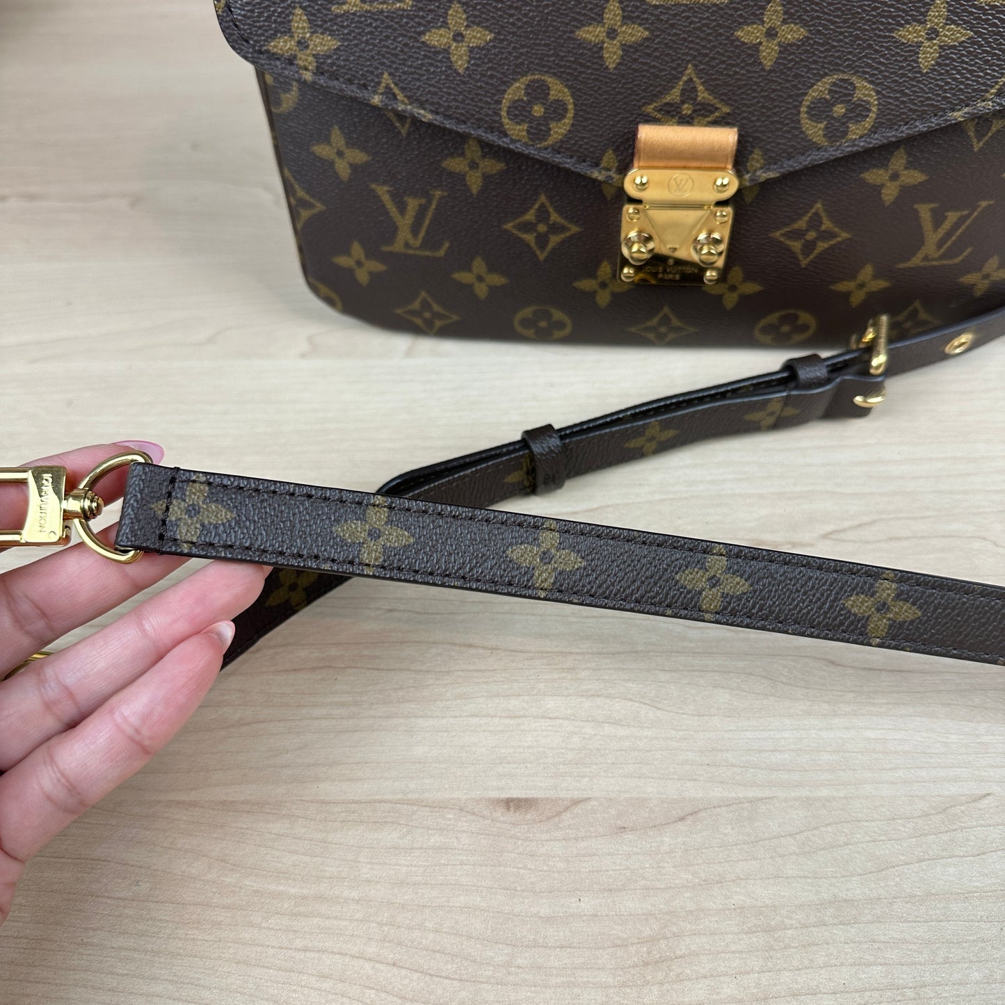 Louis Vuitton Monogram Pochette Metis