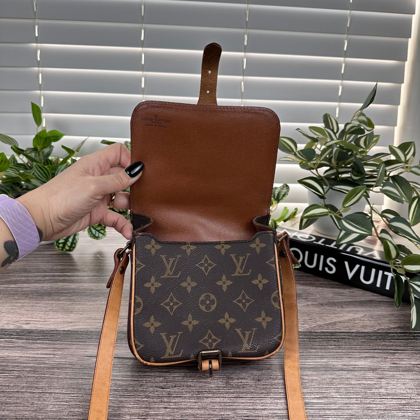 Louis Vuitton Cartouchiere PM Crossbody Bag