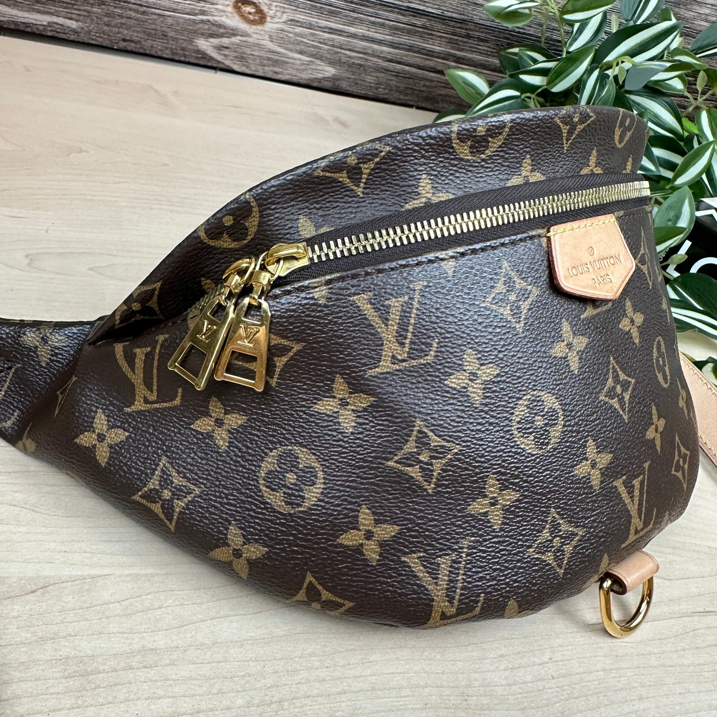 Louis Vuitton Monogram Bum Bag