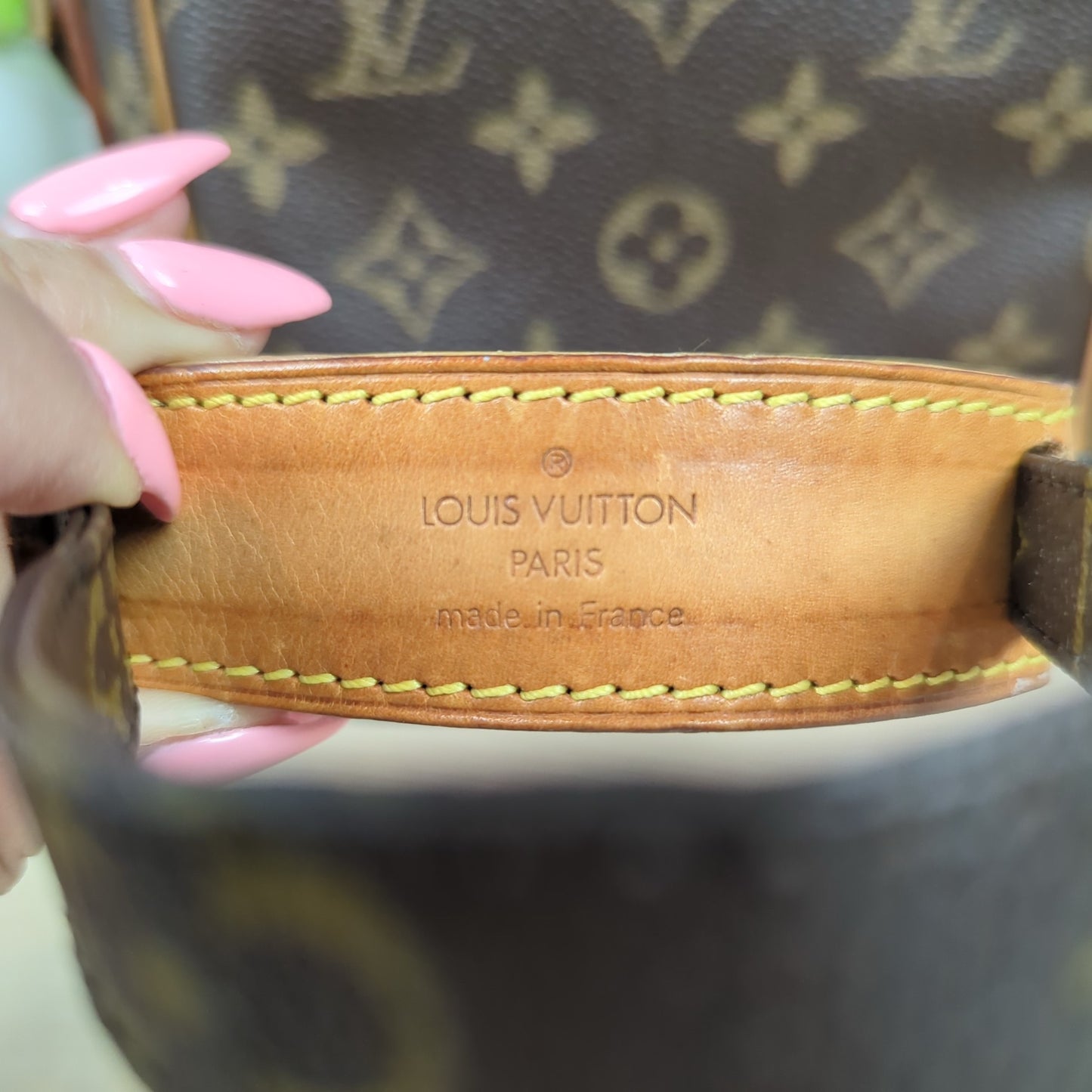 Louis Vuitton Danube PM Monogram Cossbody