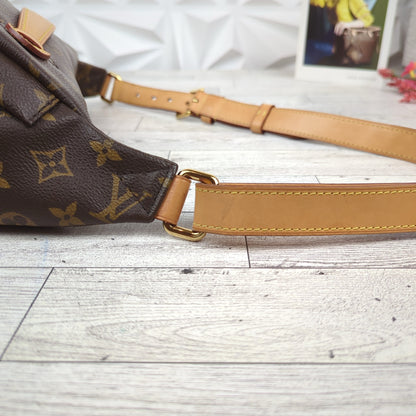 Louis Vuitton Monogram Bum Bag