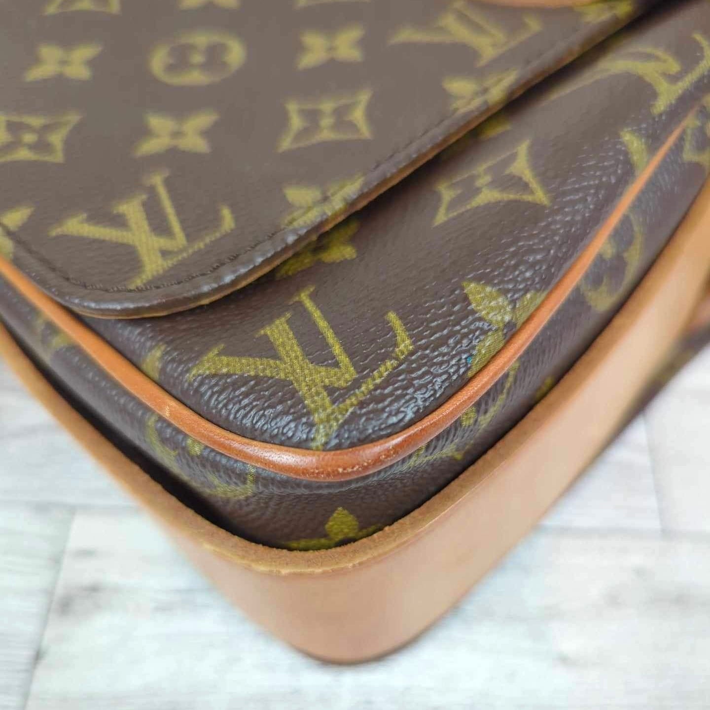 Louis Vuitton Cartouchiere GM Crossbody Bag