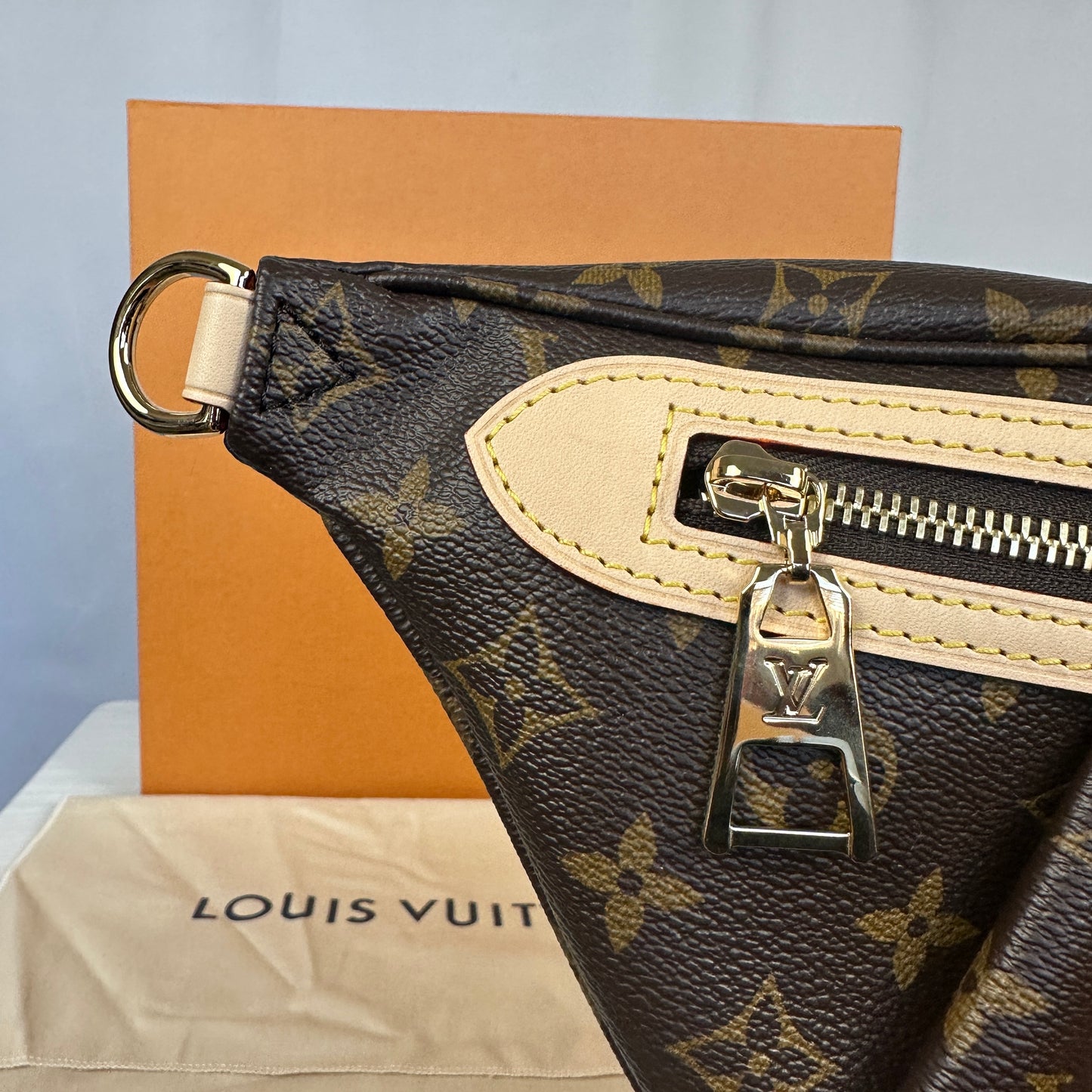 Louis Vuitton High Rise Bum Bag