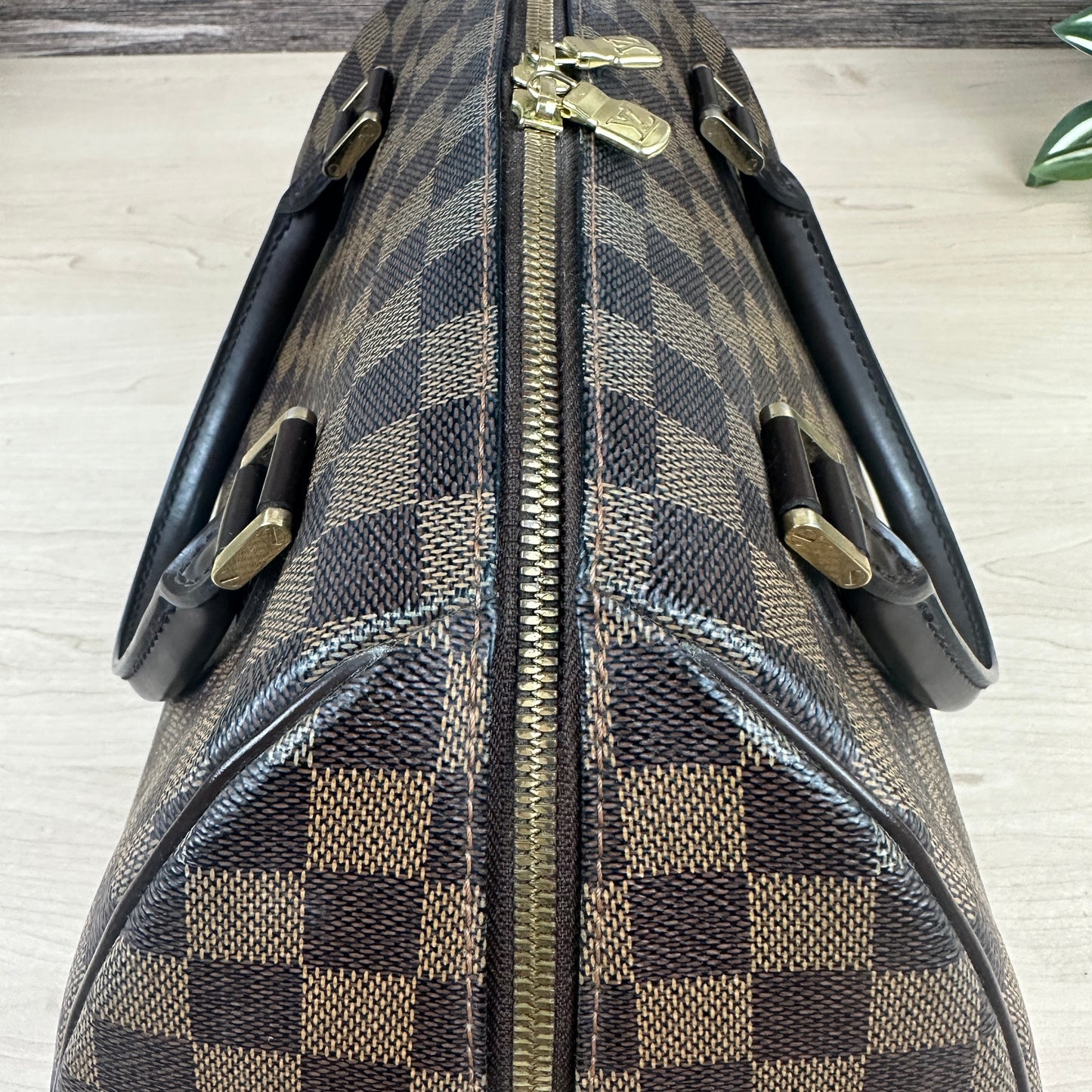 Louis Vuitton Damier Canvas Ribera MM Bag