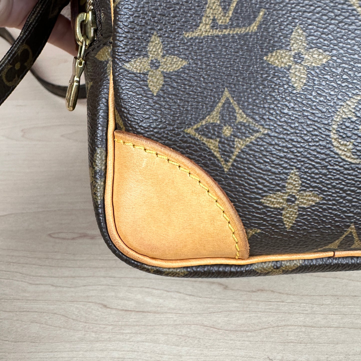 Louis Vuitton Amazon Monogram Crossbody