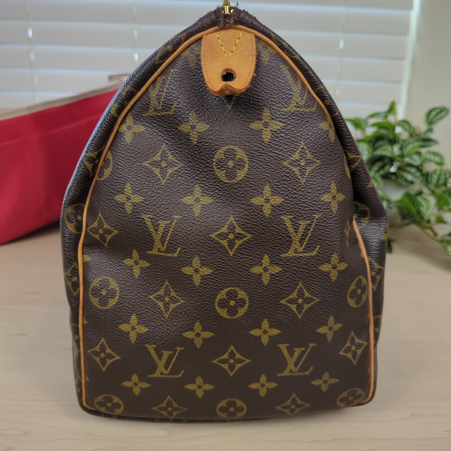 Louis Vuitton Speedy 40 Monogram