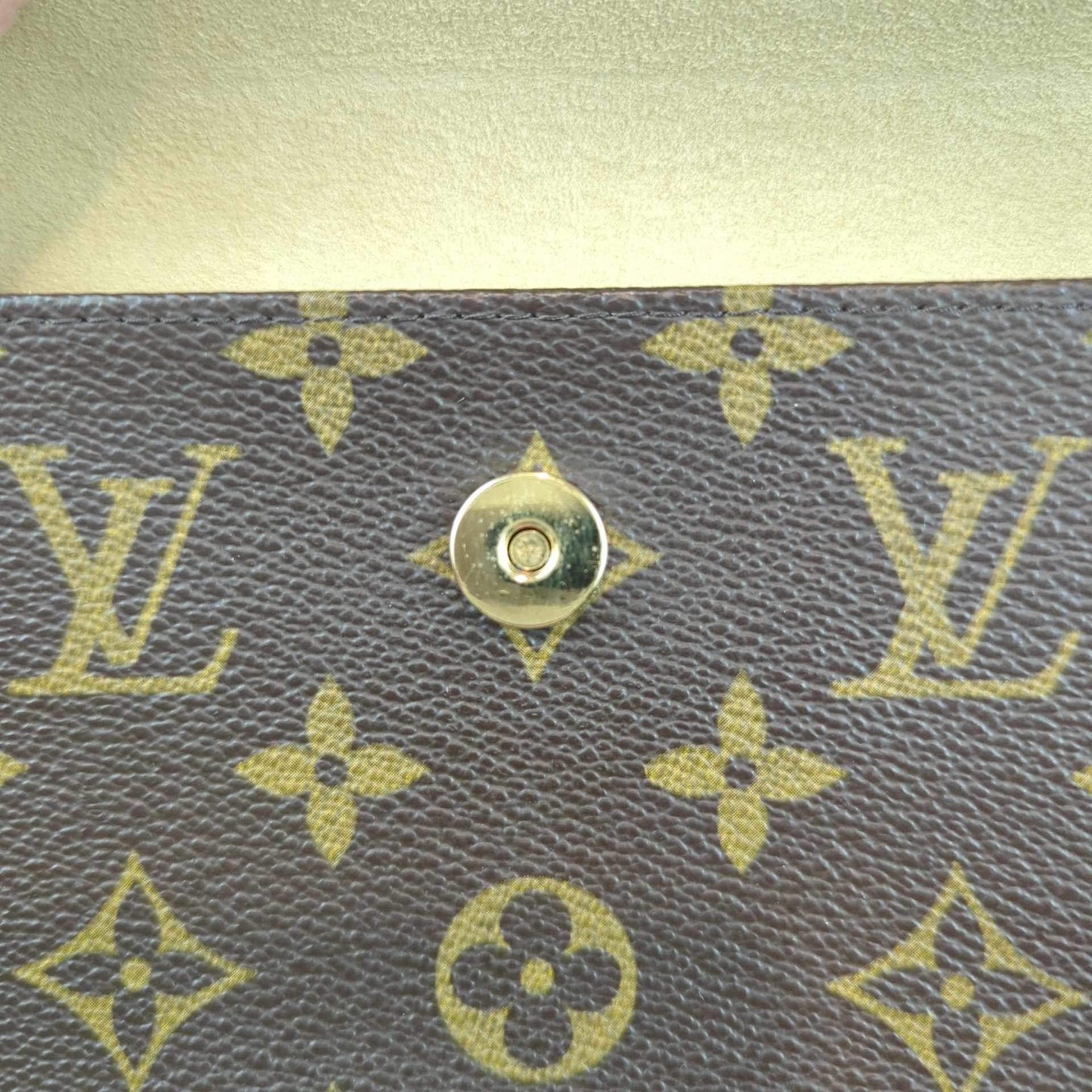 Louis Vuitton Pochette Florentine Monogram