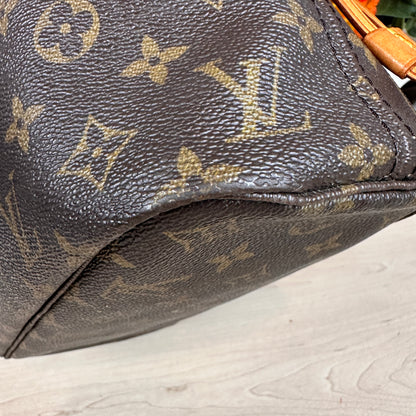 Louis Vuitton Neverfull PM Monogram