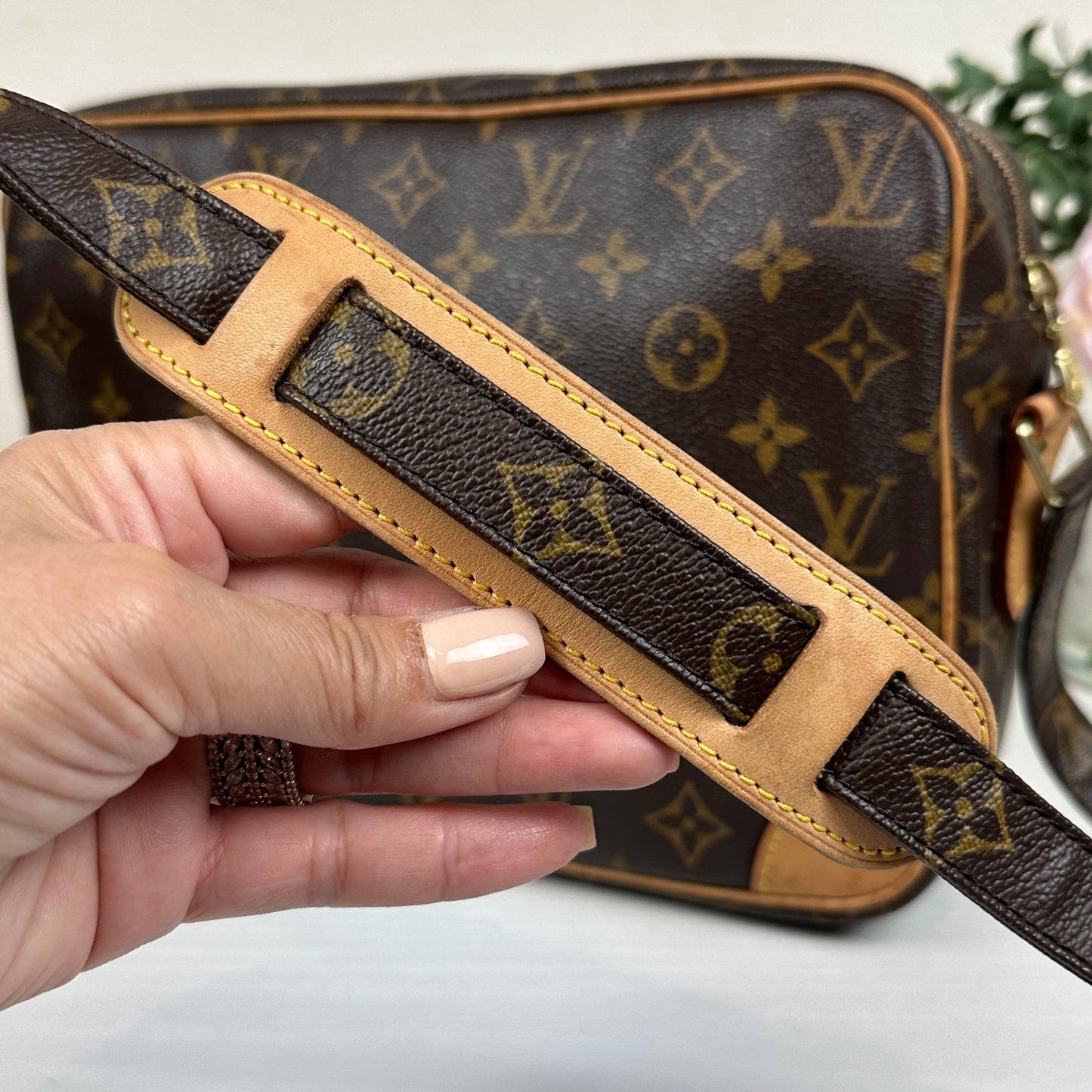 Louis Vuitton Monogram Nile PM Crossbody Bag