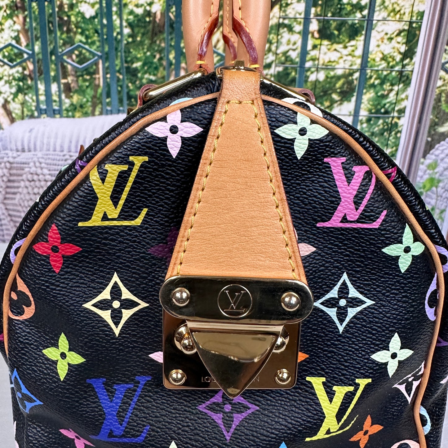 Louis Vuitton Limited Edition Murakami Black Multicolor Speedy 30