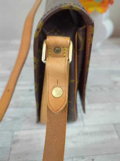 Louis Vuitton Cartouchiere GM Crossbody Bag