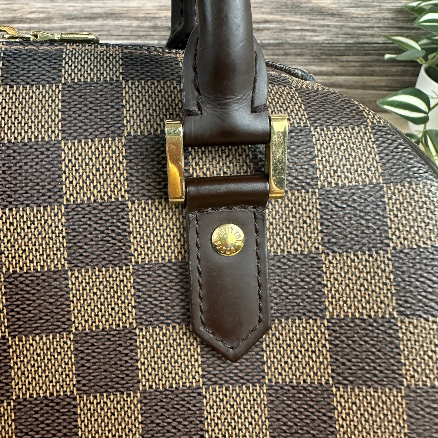 Louis Vuitton Damier Canvas Ribera MM Bag