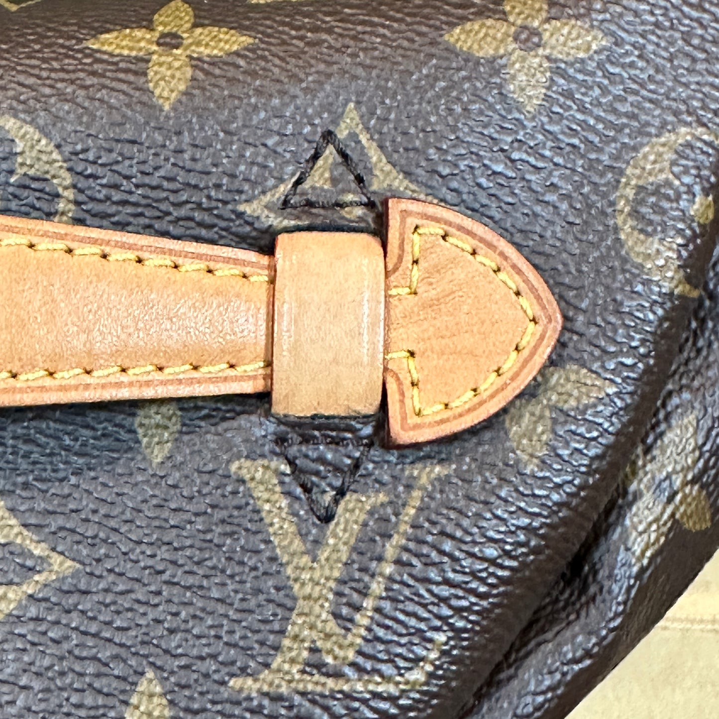 Louis Vuitton Bum Bag