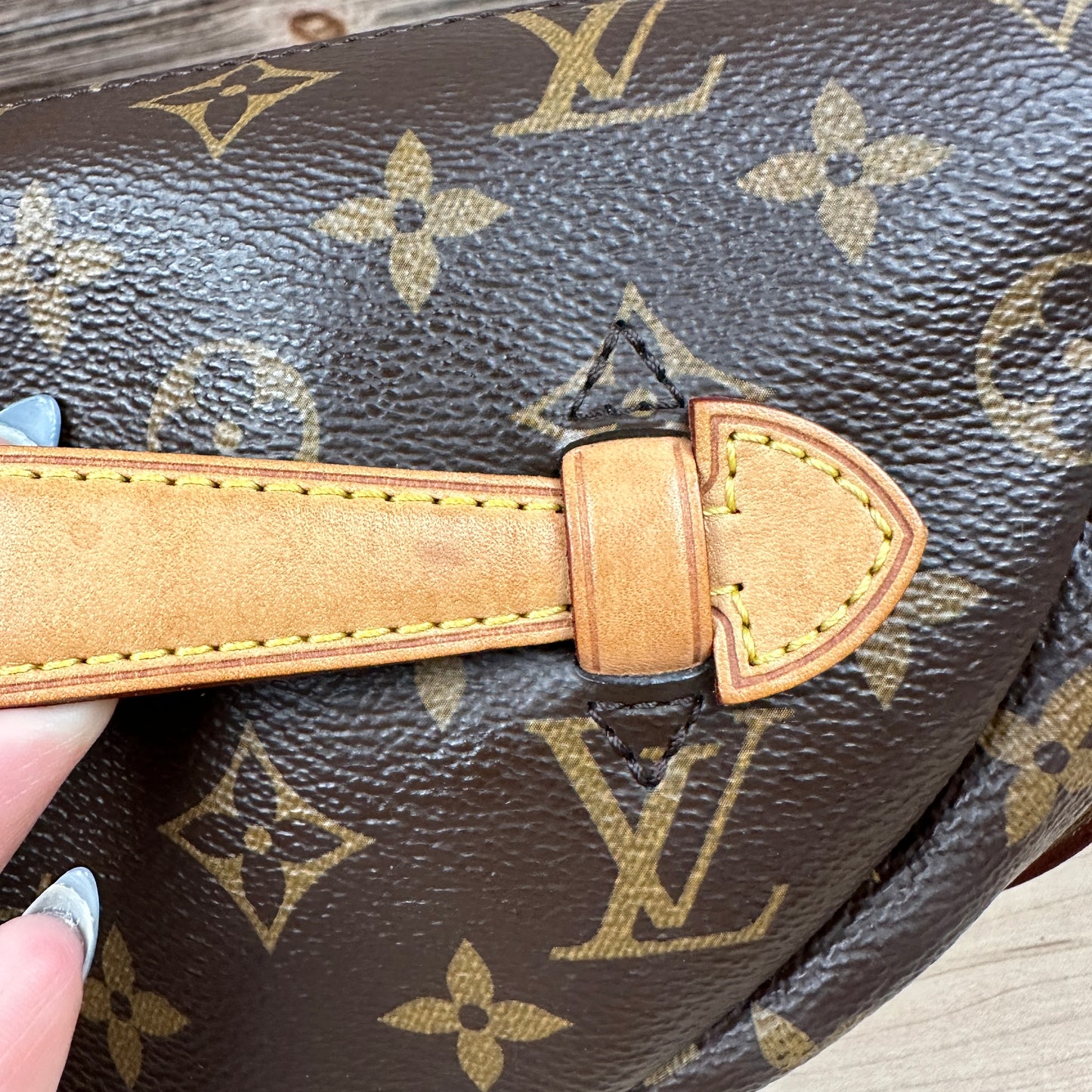 Louis Vuitton Monogram Bum Bag