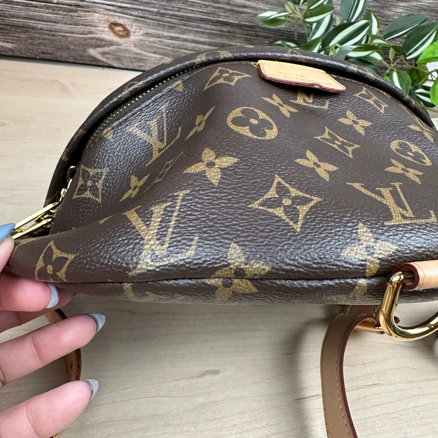 Louis Vuitton Monogram Bum Bag