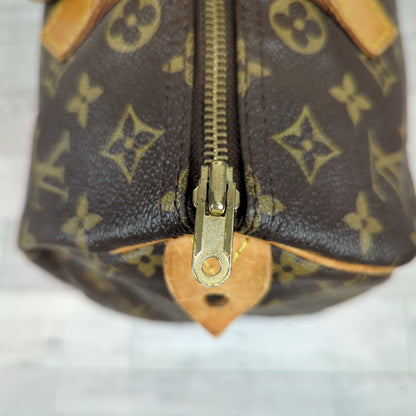 Louis Vuitton Speedy 30 Monogram