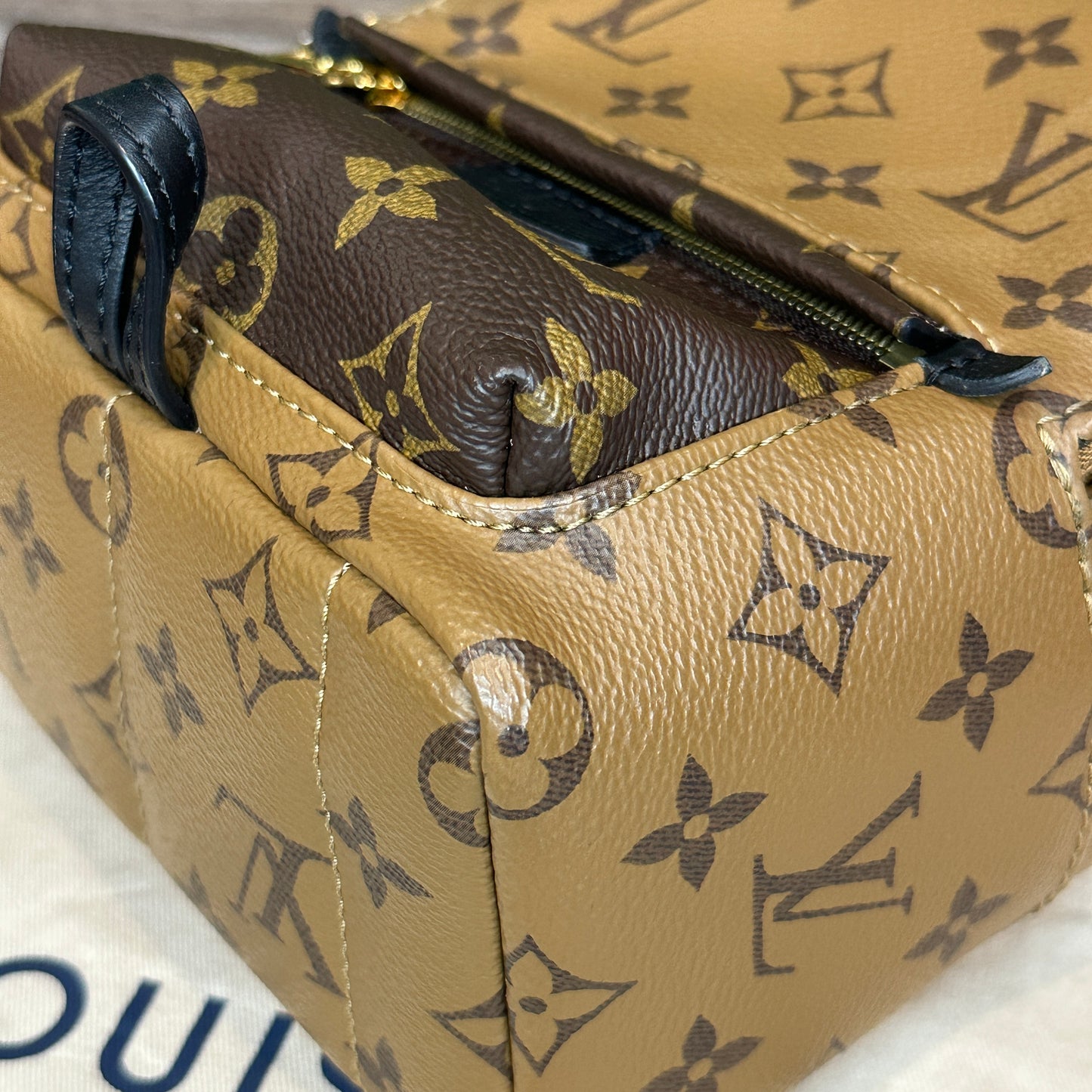 Louis Vuitton Reverse Palm Springs Mini