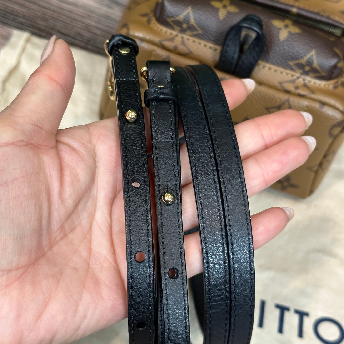 Louis Vuitton Reverse Palm Springs Mini